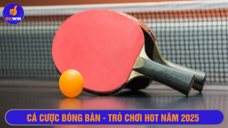 Cá cược bóng bàn trò chơi hot 2025 thu hút nhiều hội viên