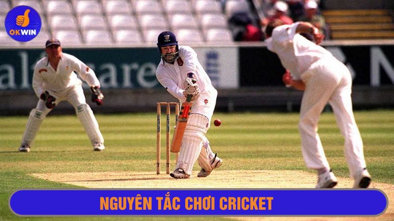 Trận đấu Cricket có 2 đội bóng tham gia 