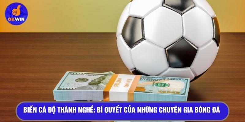 Biến cá độ thành nghề: Bí quyết của những chuyên gia bóng đá 