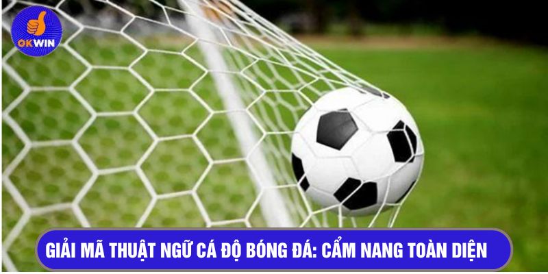 Giải mã thuật ngữ cá độ bóng đá: Cẩm nang toàn diện 