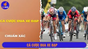 Cá cược đua xe đạp