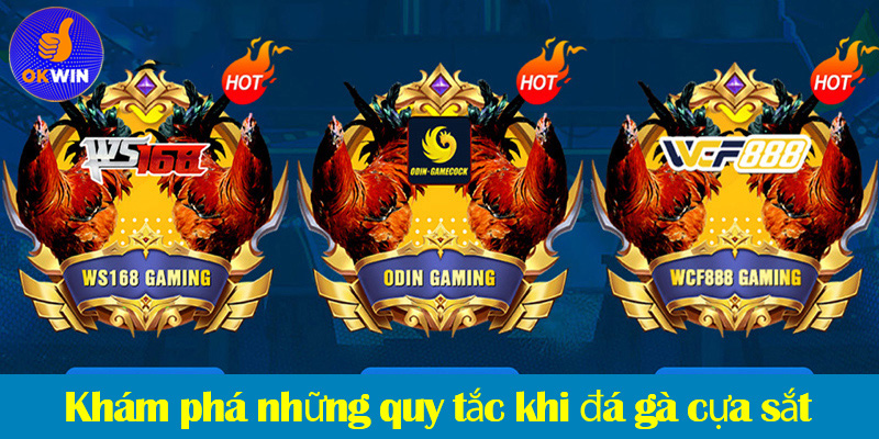 Đá gà cựa sắt: Quy tắc, phân loại hạng cân và các loại cược trong đá gà